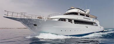 M/Y Golden Dolphin I
